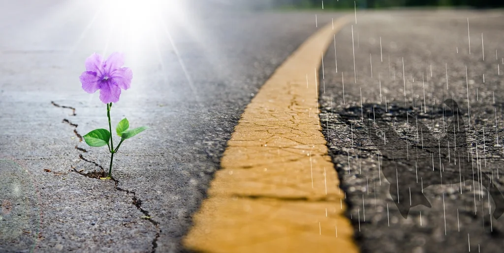 Везение и невезение: тонкая грань математического ожидания Везение и невезение: тонкая грань математического ожидания