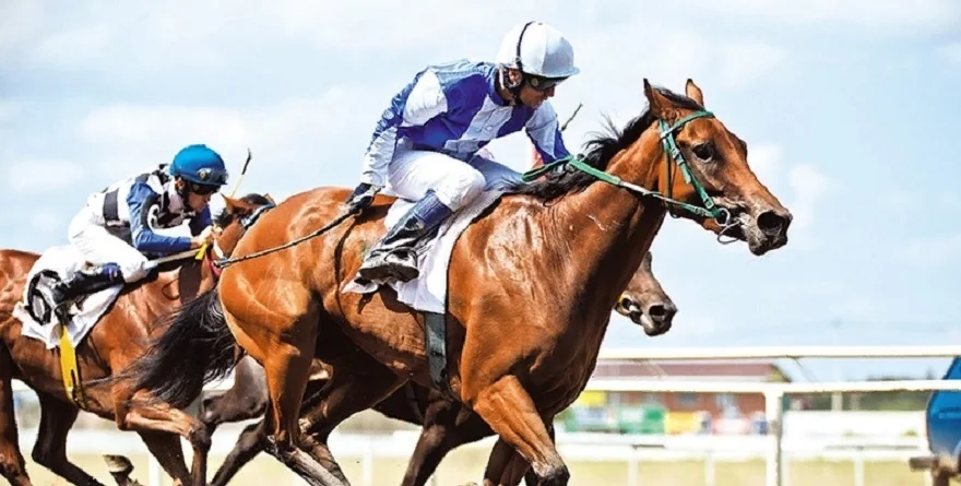 Стратегия «догон» в ставках на спорт Стратегия «догон» в ставках на спорт