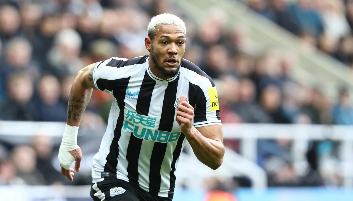 «Ньюкасл» — «Брайтон»: будет ли встреча результативной? «Ньюкасл» — «Брайтон»: будет ли встреча результативной?
