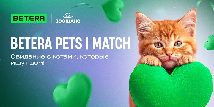 Букмекерская компания Betera устроит свидание с котами ко Дню всех влюбленных Букмекерская компания Betera устроит свидание с котами ко Дню всех влюбленных