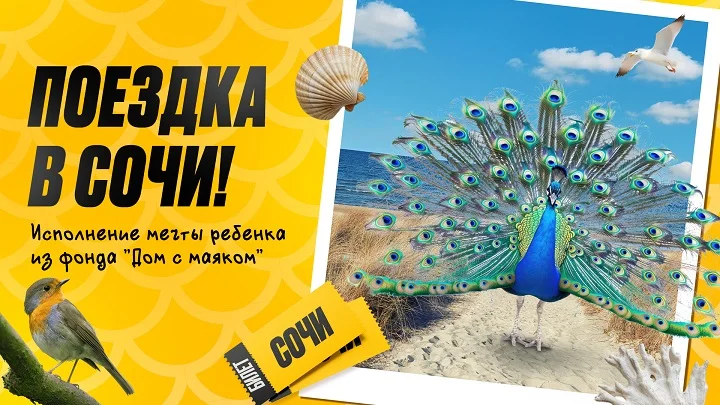 БК «Мелбет» выступила благотворителем для одной из подопечных фонда Дом с маяком