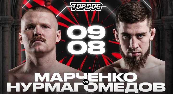 TOP DOG 38 в Казани: заряжай на победу вместе с OLIMPBET TOP DOG 38 в Казани: заряжай на победу вместе с OLIMPBET