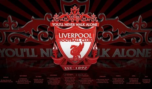 Букмекеры считают, что у «Ливерпуля» больше шансов в этом матче.