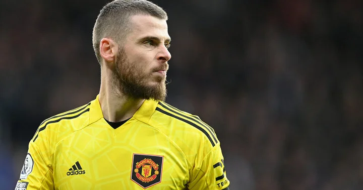 Давид Де Хеа может продолжить карьеру в «Ньюкасле» Давид Де Хеа может продолжить карьеру в «Ньюкасле»