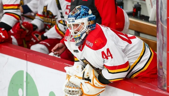 Хоккеисты «Автомобилиста» и «Спартака» перейдут в Витязь»