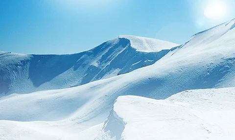 Шведская лыжная федерация приняла решение отказаться от выступлений в России Шведская лыжная федерация приняла решение отказаться от выступлений в России