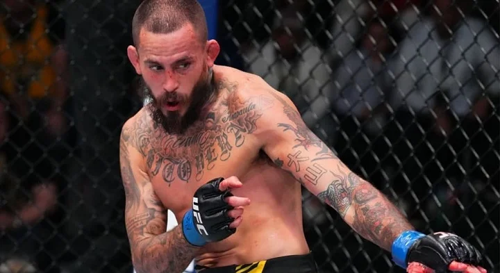 Вера нокаутировал Круза в главном событии UFC Fight Night
