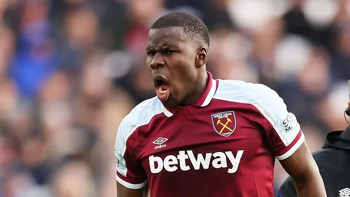 «Вест Хэм» перечислил штраф Зума за избиение кошки благотворительным организациям