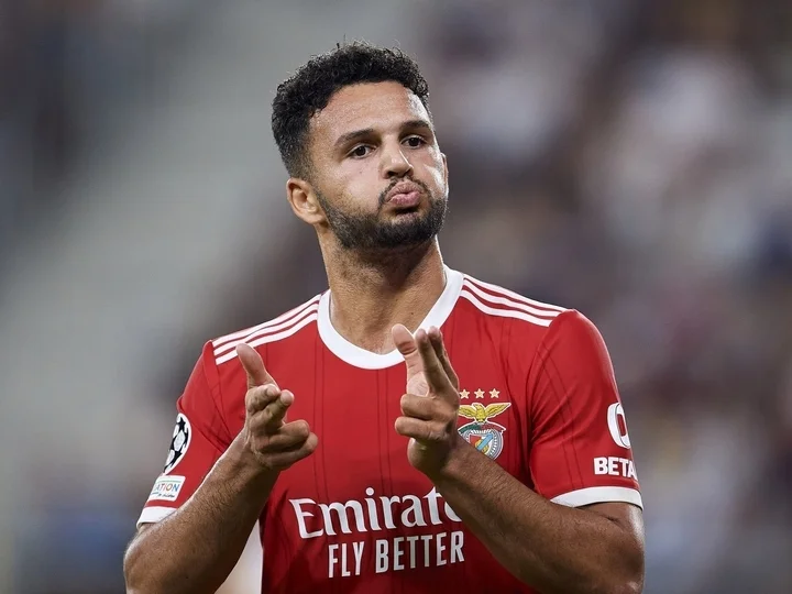 Гонсалу Рамуш может перейти в ПСЖ за 55 млн евро Гонсалу Рамуш может перейти в ПСЖ за 55 млн евро