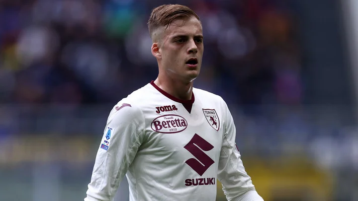 Иван Илич близок к переходу из «Торино» в «Зенит»