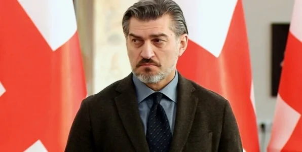 Джанашия: грузинский народ любит Кавелашвили, поэтому он будет хорошим президентом