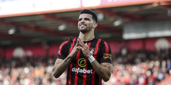 Доминик Соланке стал игроком «Тоттенхэма» Доминик Соланке стал игроком «Тоттенхэма»