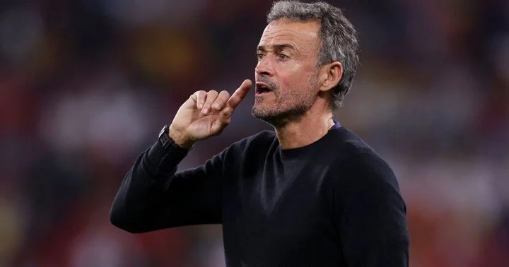 Луису Энрике было бы интересно поработать в «Тоттенхэме»