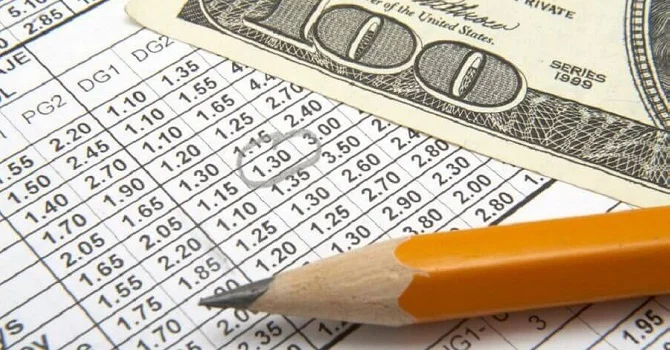 Математическая стратегия в ставках Математическая стратегия в ставках