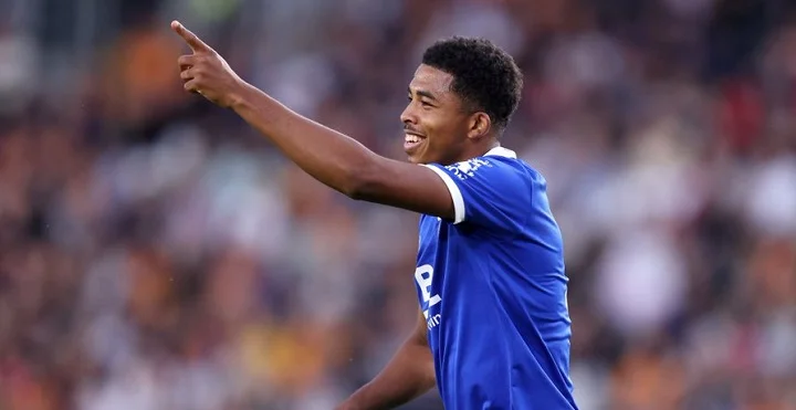 «Лестер» хочет получить почти 100 миллионов евро за Фофана «Лестер» хочет получить почти 100 миллионов евро за Фофана