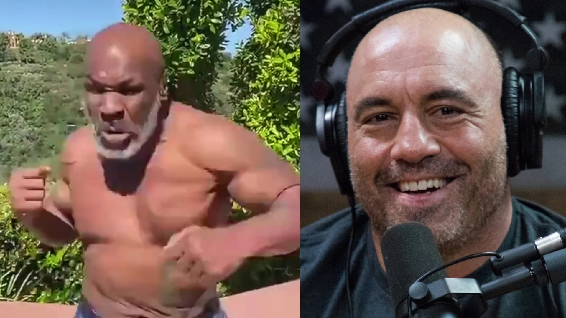 Роган о драке Майка Тайсона в самолете: «Этот чувак раздражал одного из самых крутых засранцев» Роган о драке Майка Тайсона в самолете: «Этот чувак раздражал одного из самых крутых засранцев»