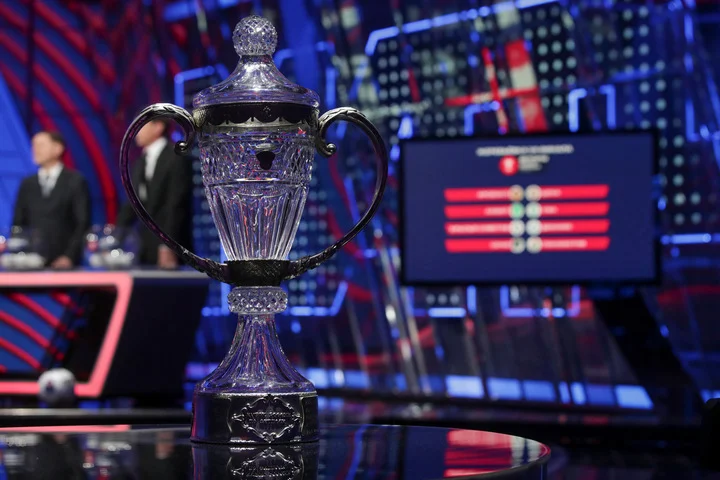 Два стадиона претендуют на проведение финала Кубка России Два стадиона претендуют на проведение финала Кубка России