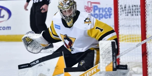 Российский хоккеист Мурашов о вечернике новичков в США: нам устроили настоящие испытания Российский хоккеист Мурашов о вечернике новичков в США: нам устроили настоящие испытания