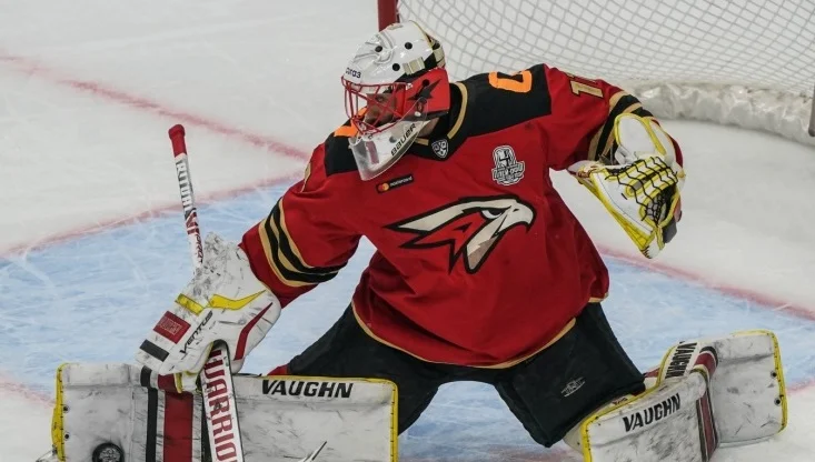 Хартли о возможном уходе вратаря Грубеца: «Если вы прочитали это в интернете, то почему спрашиваете у меня? Верьте интернету» Хартли о возможном уходе вратаря Грубеца: «Если вы прочитали это в интернете, то почему спрашиваете у меня? Верьте интернету»