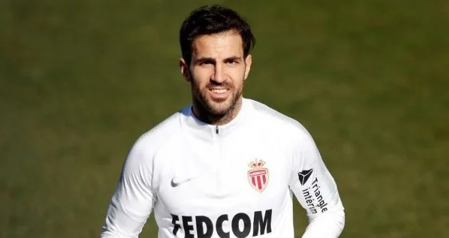 Фабрегас подпишет контракт с клубом Серии Б