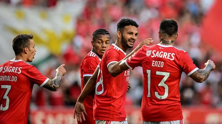 Фернандес не хочет покидать «Бенфику» зимой Фернандес не хочет покидать «Бенфику» зимой