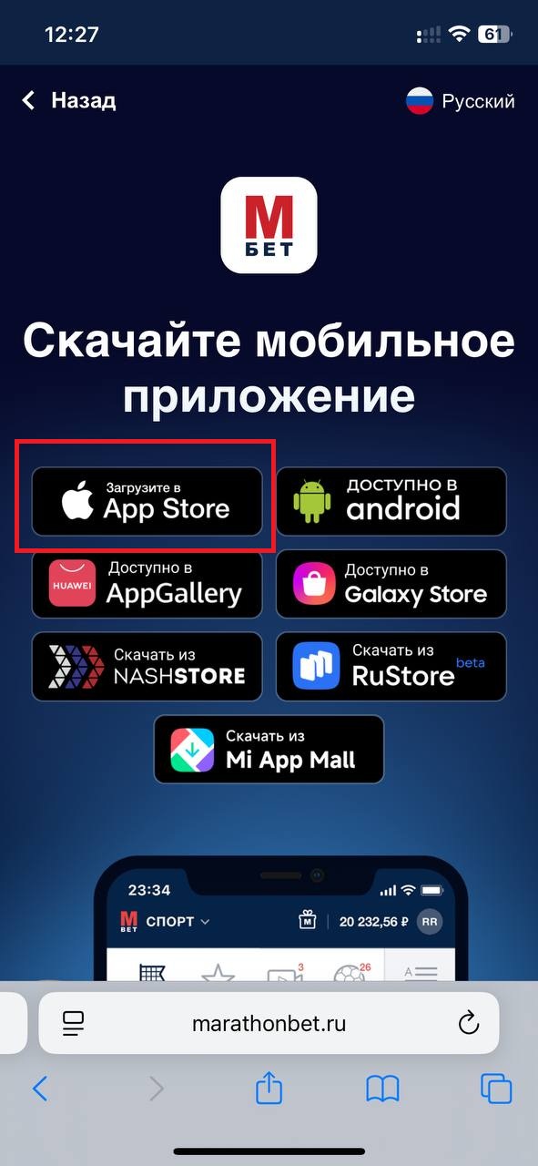 Выбор App Store для скачивания приложения