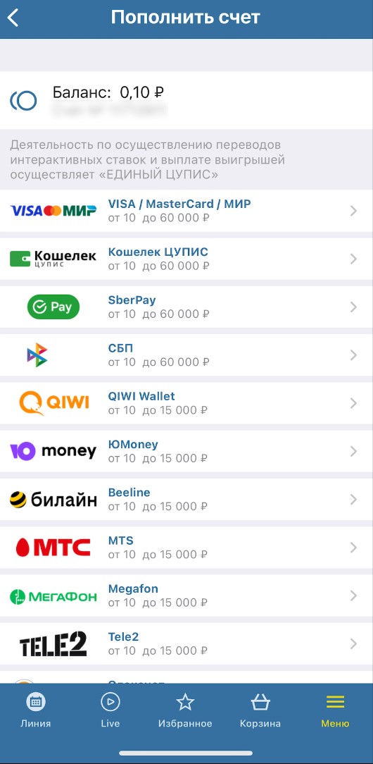 Выбор способа пополнения счета