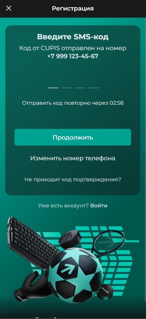 Ввод смс кода