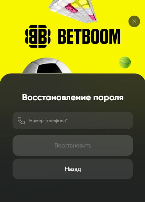 Ввод номера телефона для востановлления пароля
