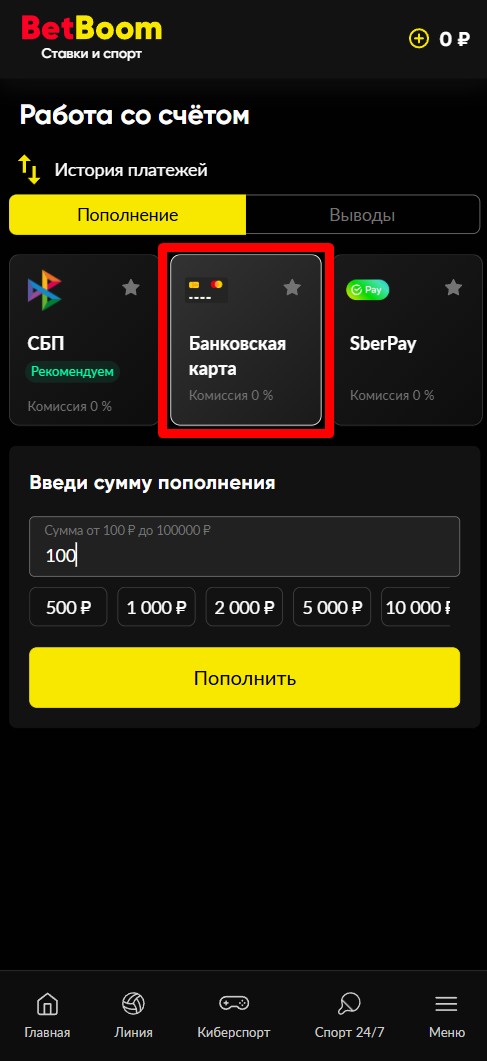 Пополнение через банковскую карту