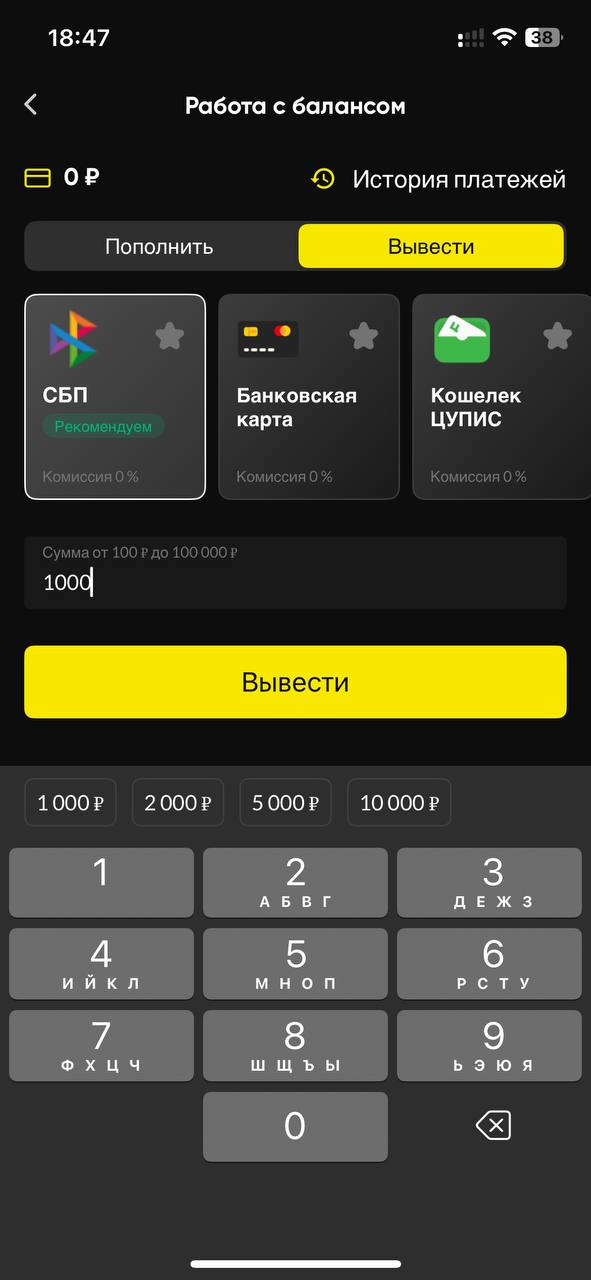 Ввод суммы вывода