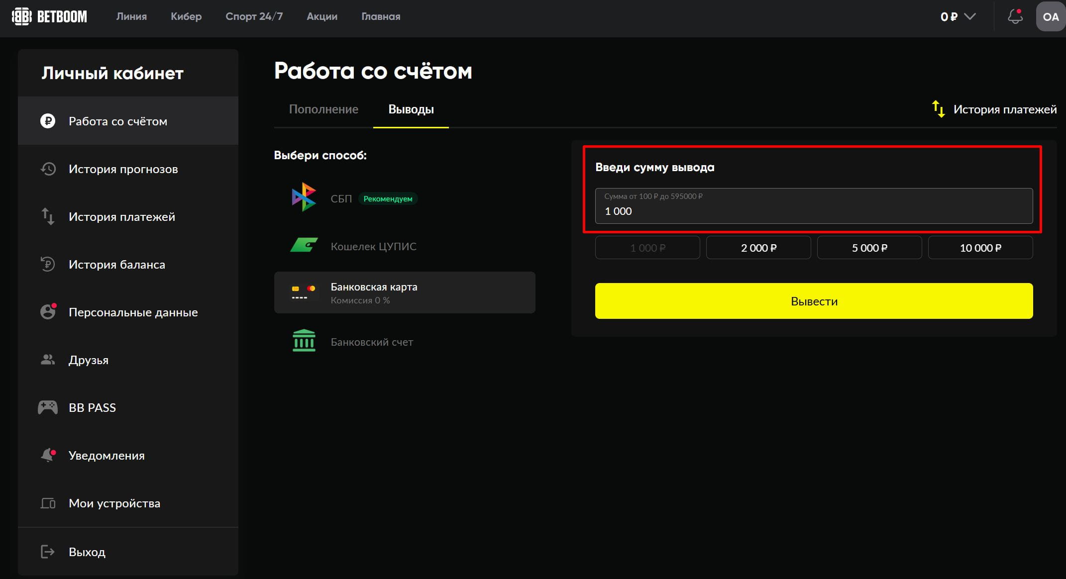 Ввод суммы вывода