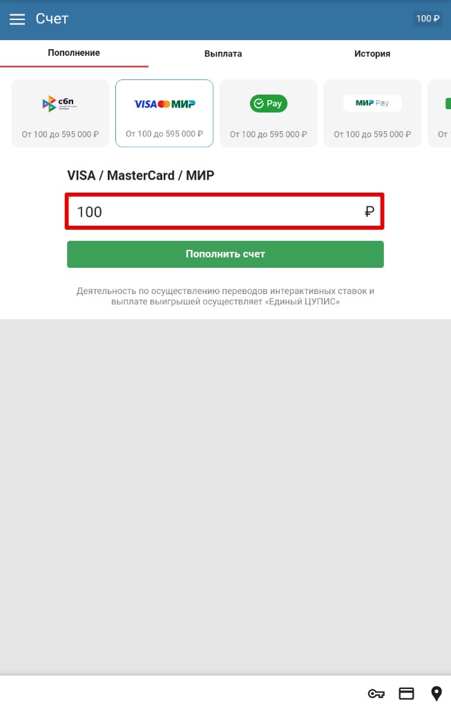 Ввод суммы пополнения счета