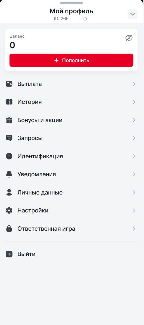 Личный кабинет игрока