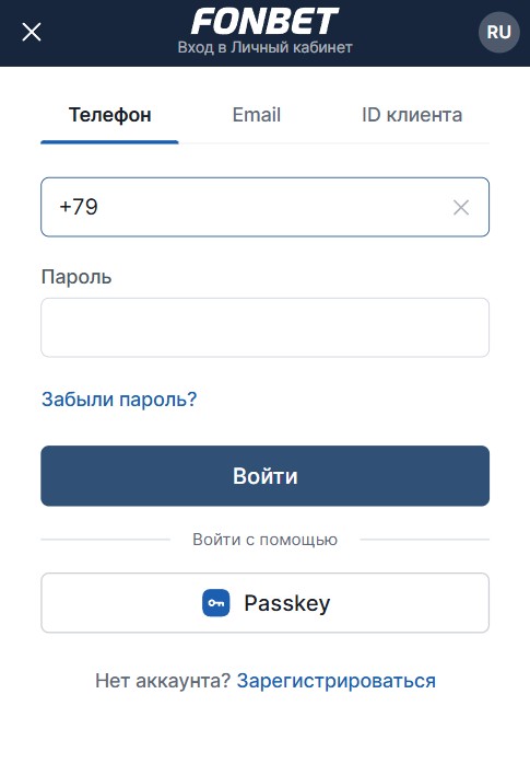 Ввод данных для авторизации