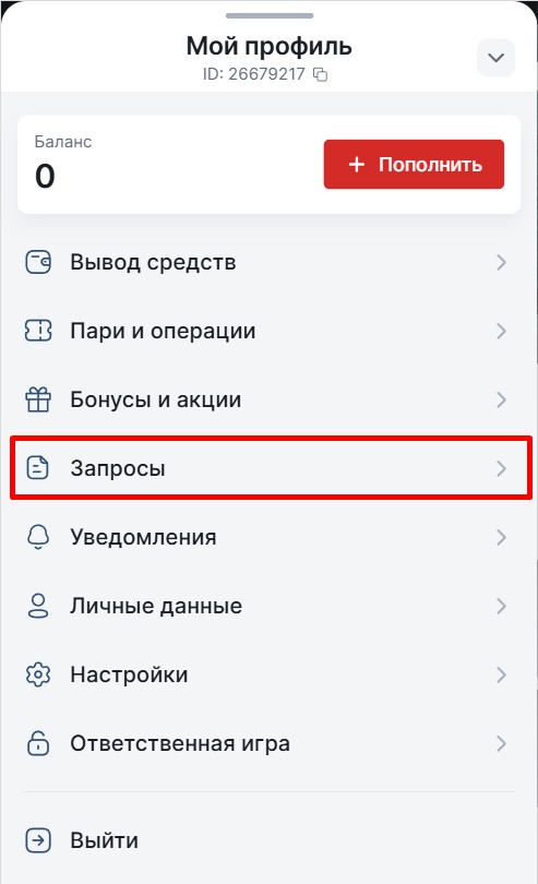 Кнопка "Запросы"