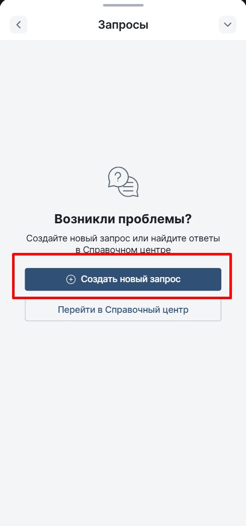 Кнопка "Новый запрос"