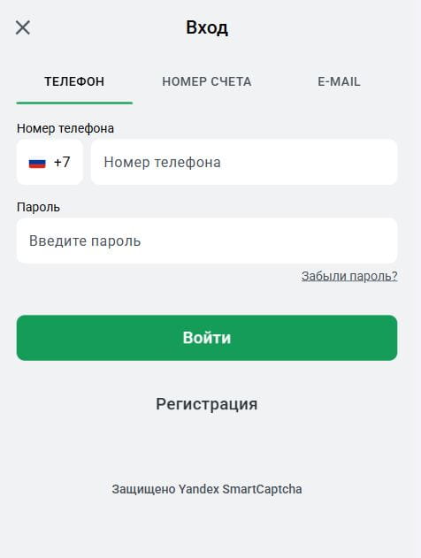 Ввод данных для входа в личный кабинет Леон