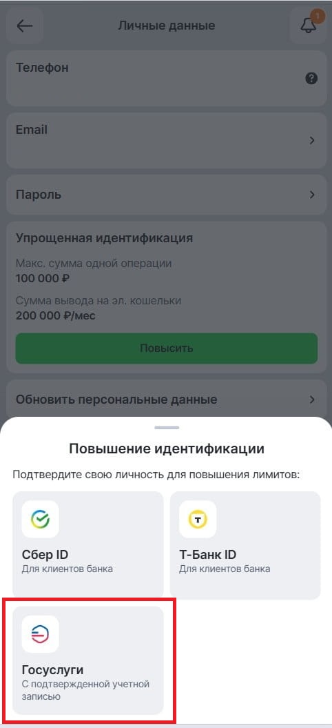 Идентификация через Госуслуги