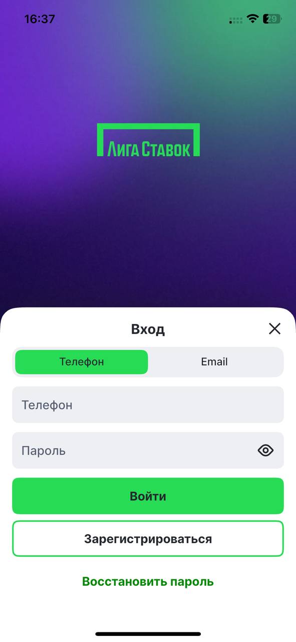 Ввод данных для авторизации