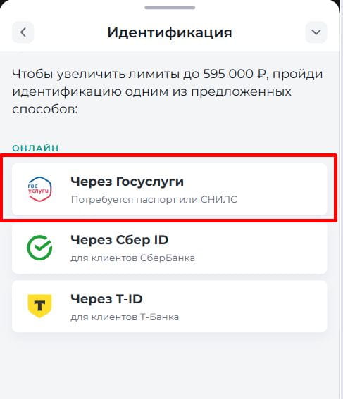 Выбор способа идентификации "Госуслуги"
