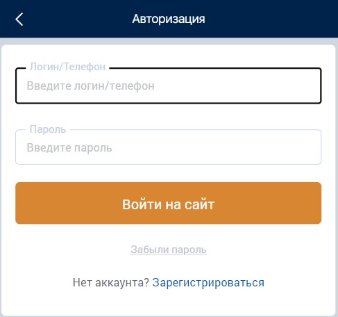 Ввод данных для авторизации в БК Зенит