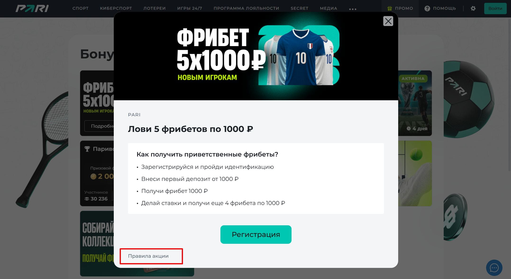Кнопка с полными условиями акции