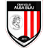 CSM Volei Alba Blaj
