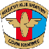 Czarni Sosnowiec Czarni Sosnowiec