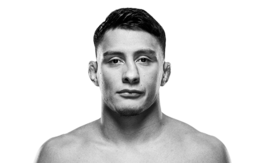 Ферни Гарсиа