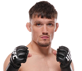 Gauge Young Gauge Young