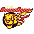 Guangdong Southern Tigers