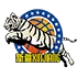Xinjiang Flying Tigers