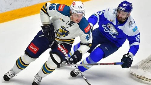 Прогнозы и ставки на игры КХЛ (25.01.2017). | ВсеПроСпорт.ру Прогнозы и ставки на игры КХЛ (25.01.2017). | ВсеПроСпорт.ру